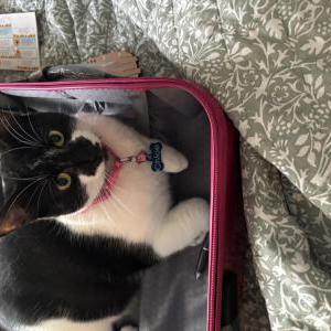 Lost 2 Chloe (Florida)