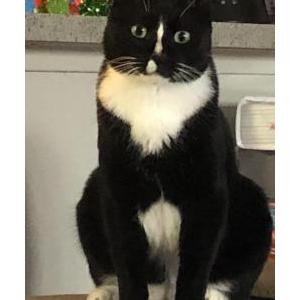 Lost 2 Miller (FL)