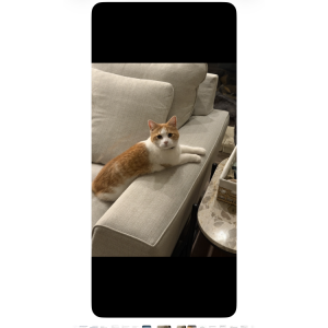 Lost 2 Beans (CA)