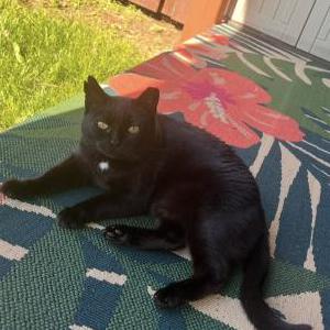 Lost 2 Mavis (WV)