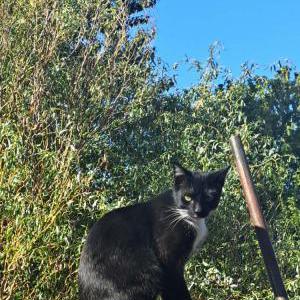 Lost 2 Luna (Oregon)