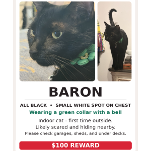 2nd Image of Baron, Lost Cat