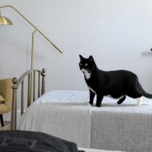 Lost 2 Luna (Texas)