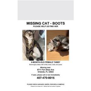 Lost 2 Boots (Florida)