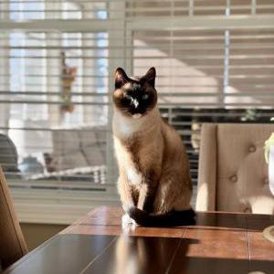Lost 2 Ernie (Minnesota)