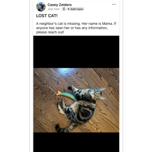 Image of Mama, Lost Cat