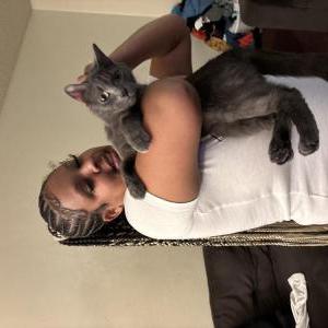 Image of luna, Lost Cat