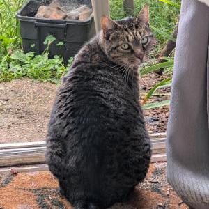 Lost 2 Winter (CT)