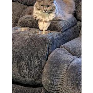 Lost 2 Gracie May (Virginia)