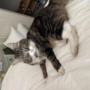 Lost 2 Jasper (Washington)