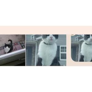 Lost 2 Nugget (Ohio)