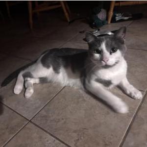 Lost 2 Milo (Oklahoma)