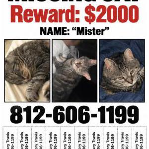 Lost 2 Mister (Indiana)