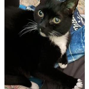 Lost 2 Martiel (North Carolina)