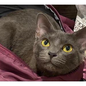Lost 2 Kiko (Texas)