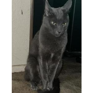 Lost 2 Blue (AZ)