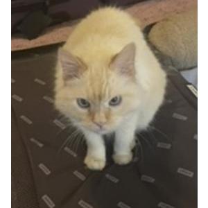 Lost 2 Artemis (Colorado)