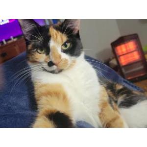 Lost 2 Luna (WI)