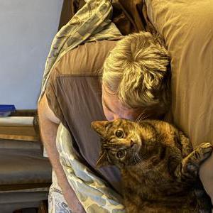 Image of Maggie, Lost Cat