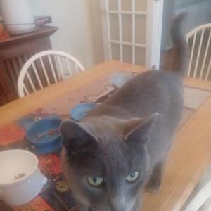 Lost 2 Smokie (Georgia)