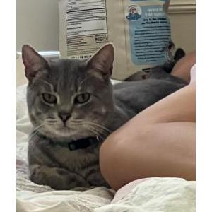 Lost 2 Hendrix (Florida)