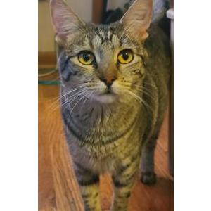 Lost 2 Muddy (Colorado)