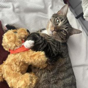 Lost 2 Jackson (Florida)