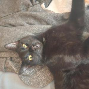 Lost 2 Leeloo (FL)