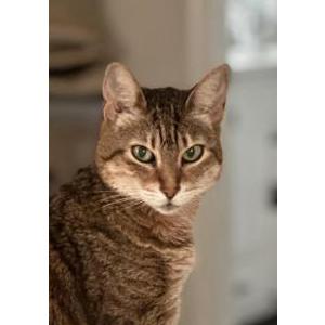 Lost 2 Cleo (NY)