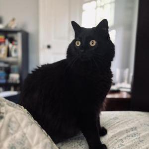 Lost 2 Tre (Colorado)