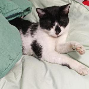 Lost 2 Sloan (Pennsylvania)