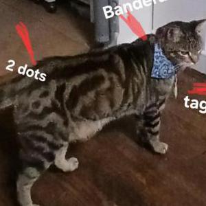 Lost 2 Titan (California)