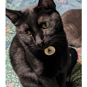 Lost 2 Penda (Ohio)