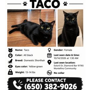 Lost 2 Taco (California)