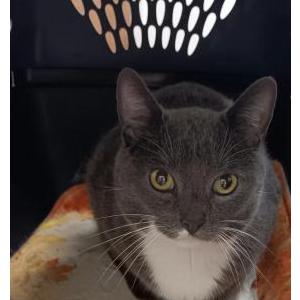 Lost 2 Weebob (Indiana)