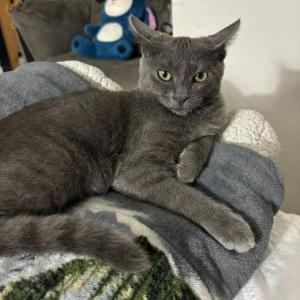 Lost 2 Logan (California)