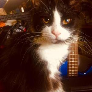 Lost 2 Selene (Ohio)