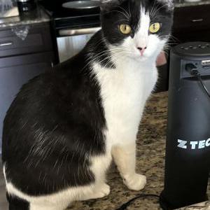 Lost 2 Ashley (Texas)