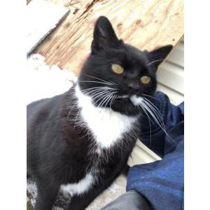 Lost 2 Mavroula (New Jersey)