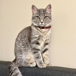 Lost 2 Lulu (Indiana)