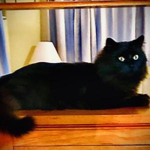 Lost 2 Foofer (Tennessee)