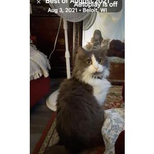Lost 2 Tippit (IL)