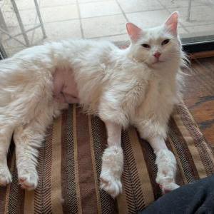 Lost 2 Ruh (Virginia)
