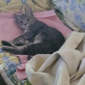 Lost 2 jean (California)