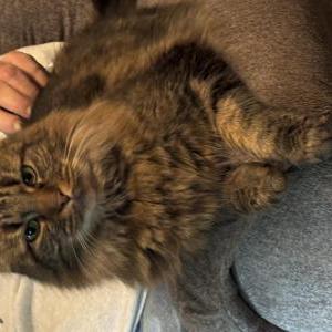 Lost 2 Prince (New Jersey)