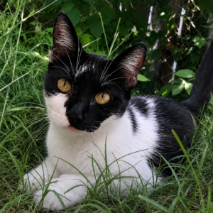 Lost 2 Cara (Texas)