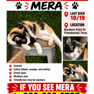 Lost 2 Mera (Texas)