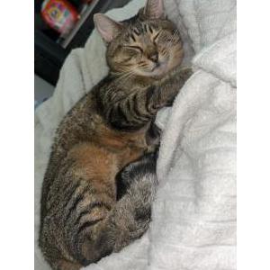 Lost 2 Sunny (Pennsylvania)