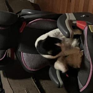 Lost 2 Corona (Texas)