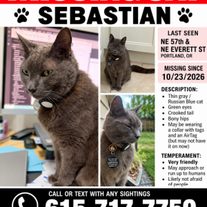 Lost 2 Sebastian ()